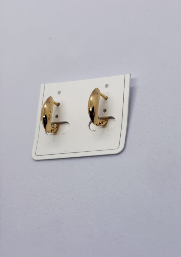 Rose Gold Plated Unisex Earrings