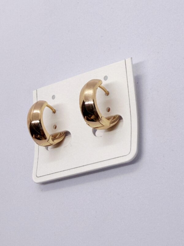 Rose Gold Plated Earrings for Men & Women